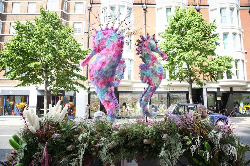 Mô hình đôi cá ngựa bằng hoa trên Sloane Street, do cửa hàng hoa All For Love London thực hiện. Ảnh: Sophie Knight.