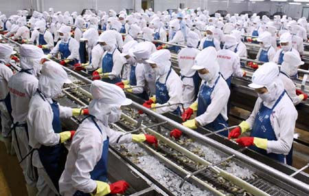 Minh Phú đang đối diện với nguy cơ bị điều tra chống bán phá giá tôm tại thị trường Mỹ.