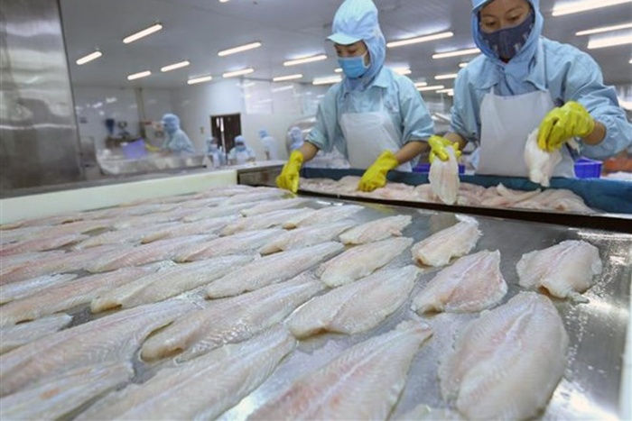 Nhiều cơ hội xuất khẩu cho cá tra Việt Nam sang 10 nước CPTPP