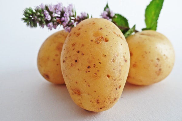 7 tác hại khi bạn ăn khoai tây mỗi ngày