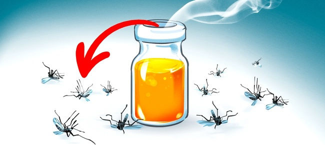 Mẹo đuổi muỗi cực đơn giản không cần đến hóa chất độc hại