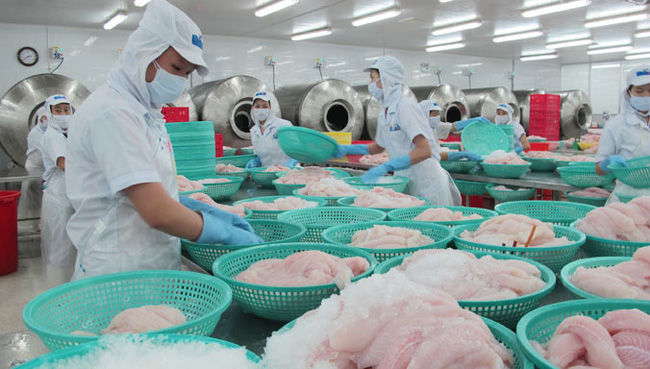 Xuất khẩu cá tra, basa Việt Nam sang EU tăng 31,5%.