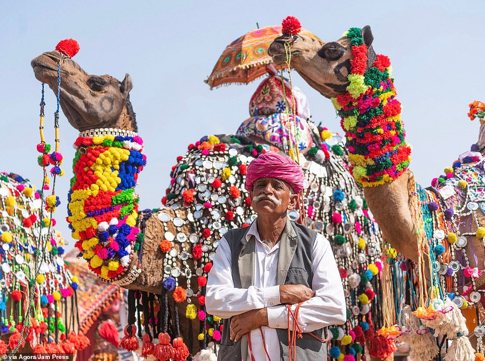   Carles Alonso đến từ Tây Ban Nha đã chụp ảnh về cuộc thi sắc đẹp dành cho lạc đà ở Ấn Độ.  