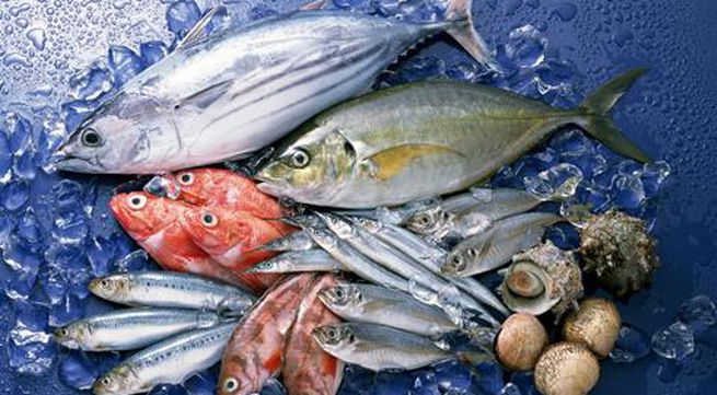 Hải sản cung cấp nhiều chất dinh dưỡng cần thiết cho cơ thể nhưng cần chú ý khi ăn loại thực phẩm này