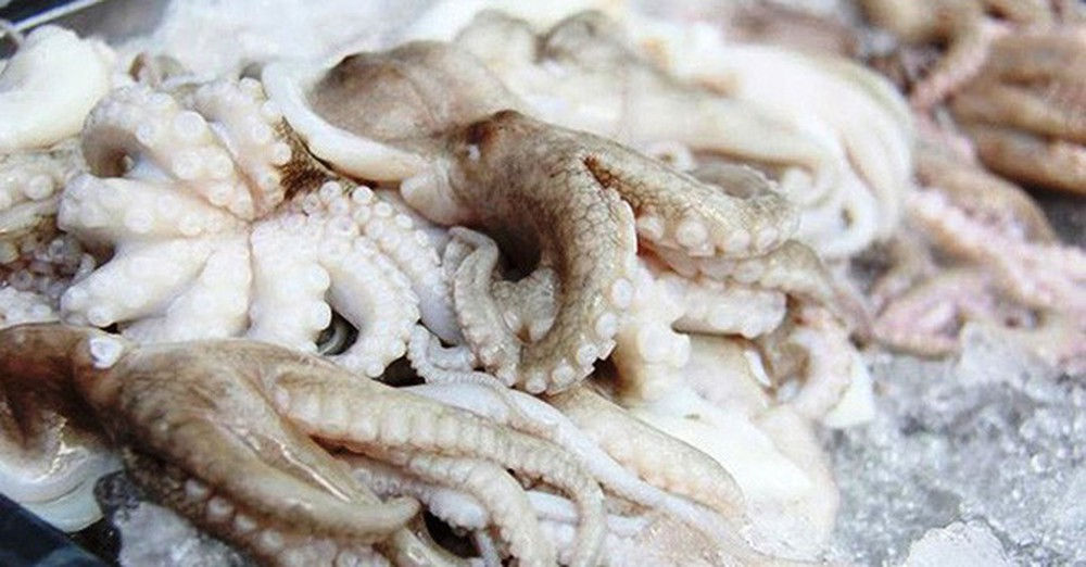 Xuất khẩu mực, bạch tuộc dự báo tiếp tục tăng trưởng dương