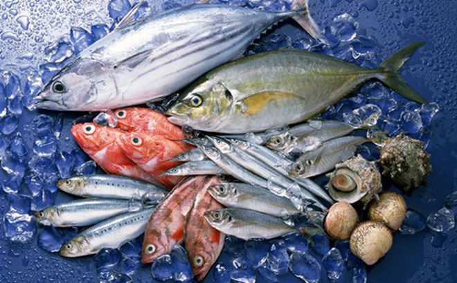 Danh sách các loại cá và thủy hải sản có hàm lượng thủy ngân cao nhất, thấp nhất