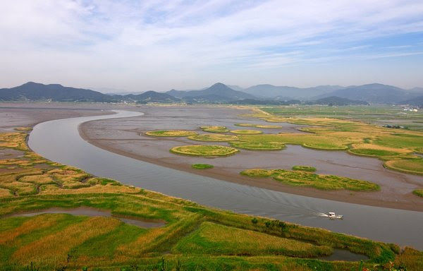 Ảnh Khu bảo tồn ngập nước Vịnh Suncheon do Tòa thị chính Suncheon cung cấp