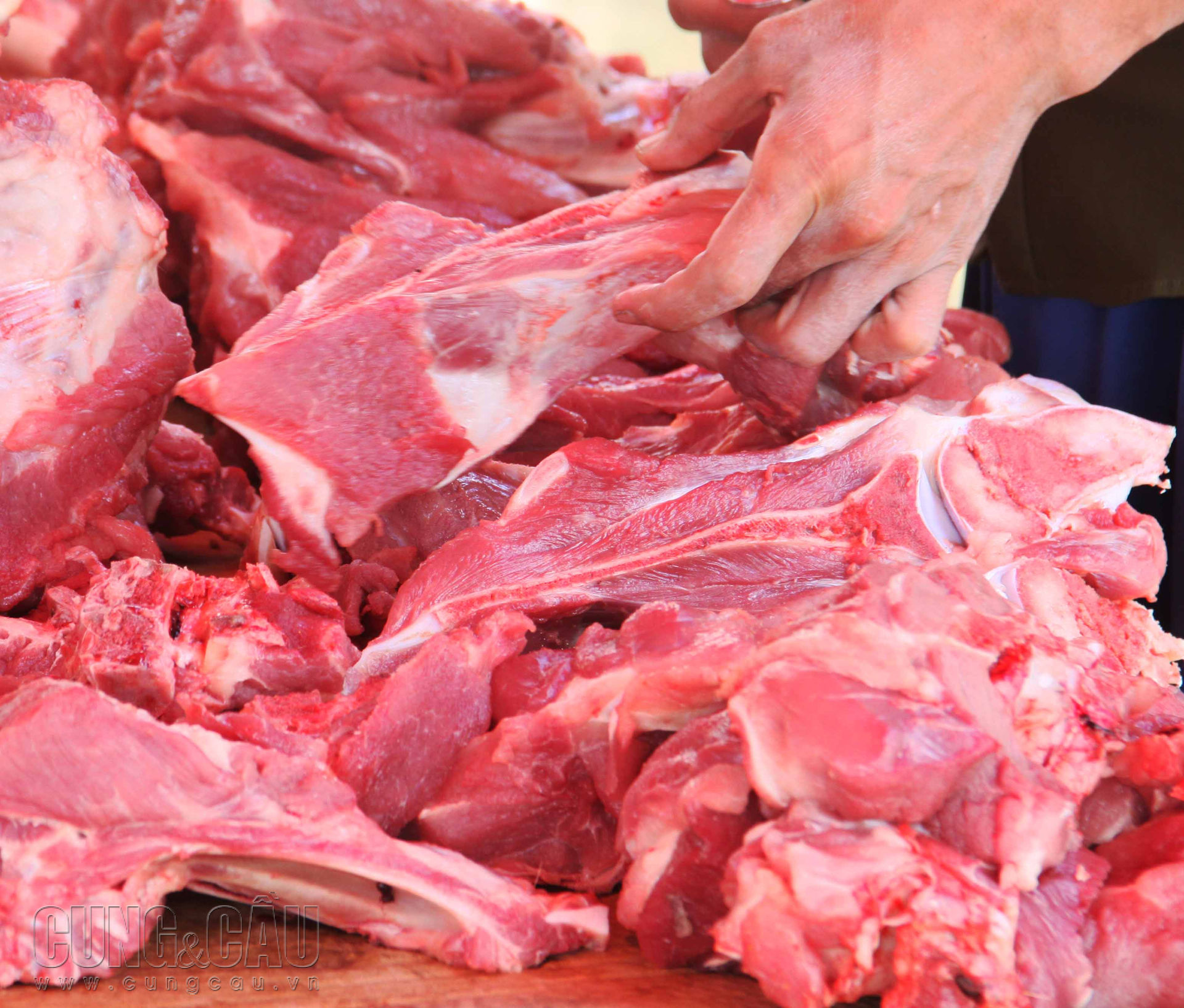 Giá thịt heo sỉ tăng bất kể giá heo hơi giảm.