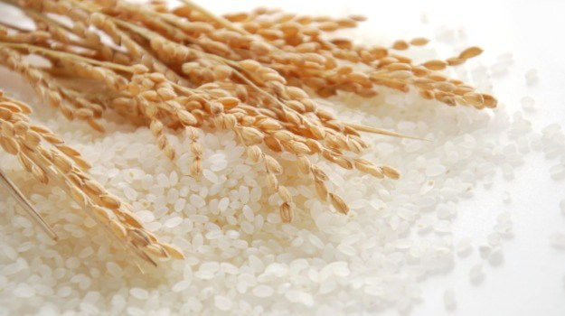 Lúa gạo Châu Á: Giá tăng tại Việt Nam, vững ở Ấn Độ và giảm ở Thái Lan