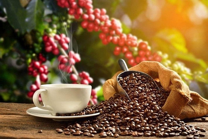 Việt Nam là nhà cung ứng cà phê lớn nhất Tây Ban Nha
