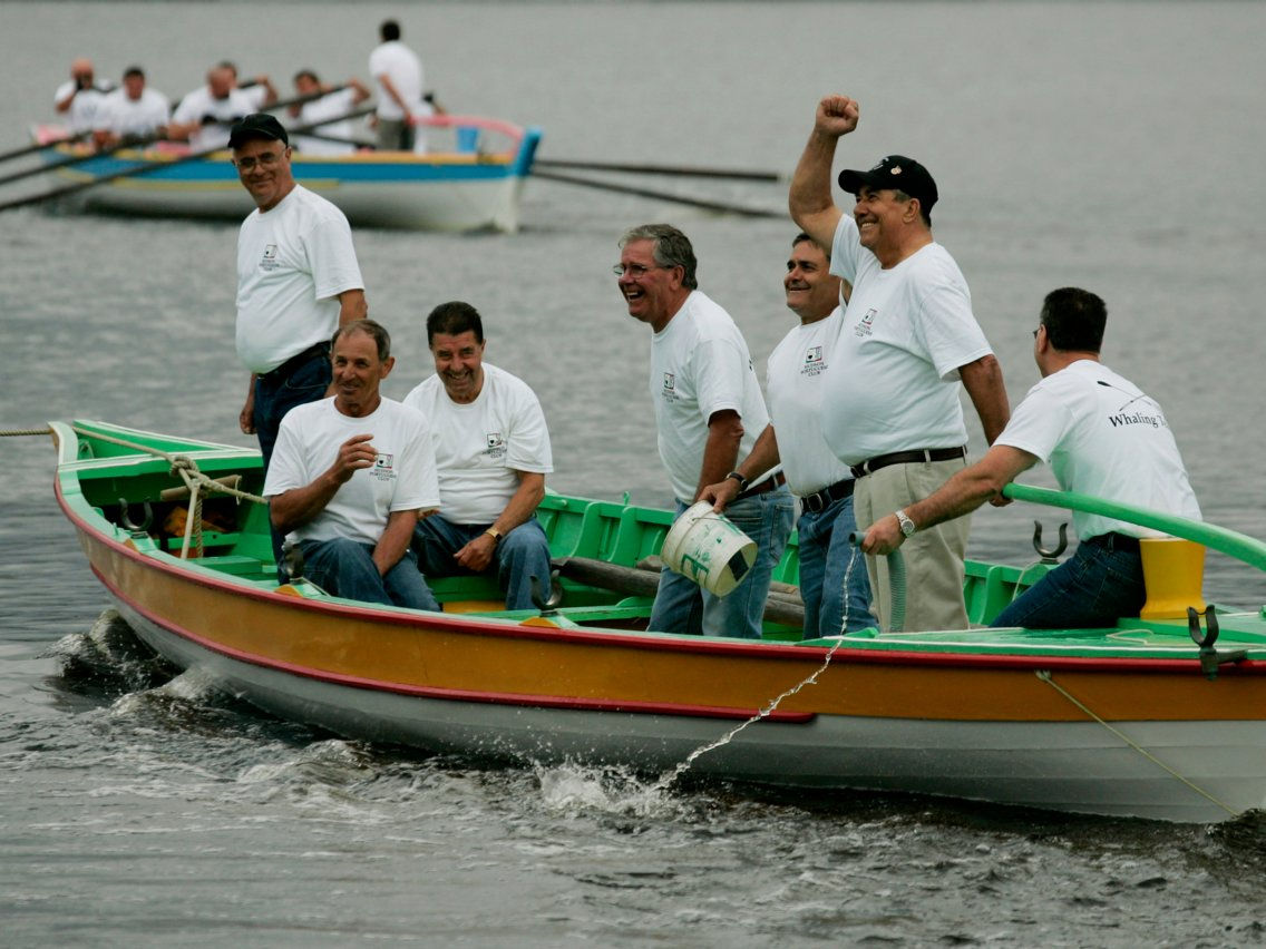   Một nhóm người đàn ông Bồ Đào Nha ăn mừng lễ hội tại Cambridge, Massachusetts. Ảnh: Boston Globe.  