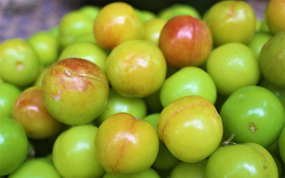 Nhiều loại trái cây Trung Quốc nhập về Việt Nam bán rẻ như cho