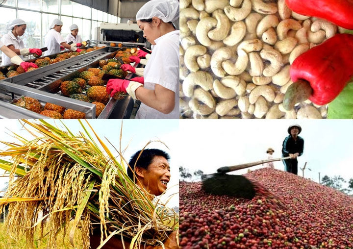 Nông sản Việt: cơ hội và thách thức với khi tham gia EVFTA