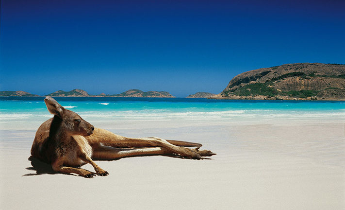 Nên đi du lịch Úc vào tháng mấy? 