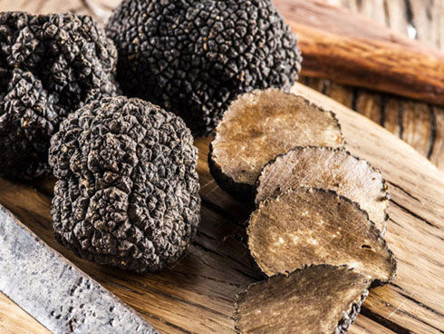   Nấm Perigord đen - loại nấm thuộc hàng đắt nhất thế giới.  