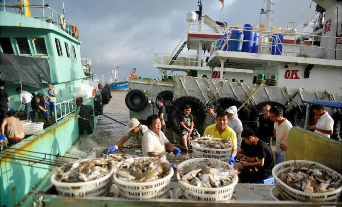 Công nhân dỡ hải sản từ các tàu đánh cá trước khi siêu bão Lekima đổ bộ vào Zhoushan, tỉnh Chiết Giang, Trung Quốc ngày 8 tháng 8 năm 2019. (Ảnh REUTERS)