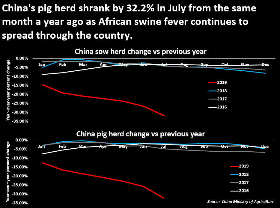 Tổng đàn lợn ở Trung Quốc đã giảm 32% trong tháng 7 so với cùng kỳ năm ngoái.