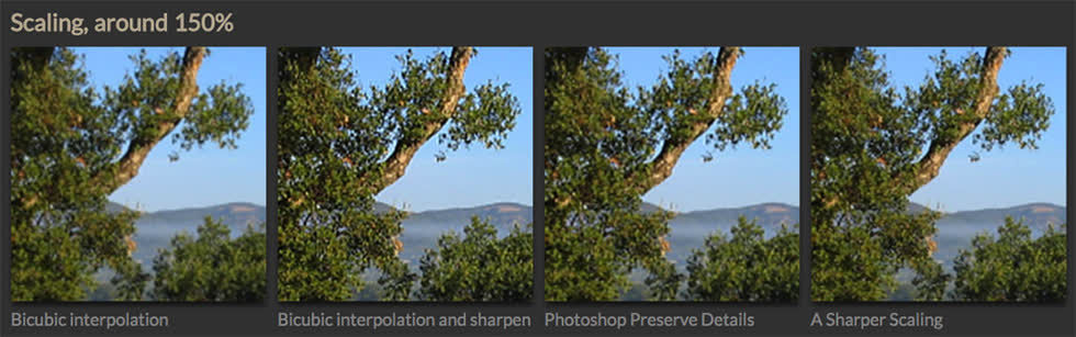   Ngay cả trong những hình ảnh so sánh nhỏ, sự khác biệt rất rõ ràng. Dưới đây là một trong những mẫu tác giả dùng. Hình ảnh từ trái sang phải cho thấy tỉ lệ 150% sử dụng thuật toán nội suy bicubic, BI   sharpen, Photoshop Preserve Details, và cuối cùng Sharper Scaling.  