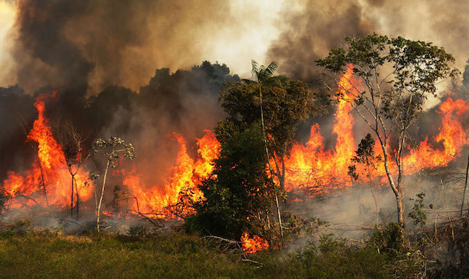 Cháy rừng tại Brazil đã lan qua biên giới sang rừng Chiquitano của Bolivia.