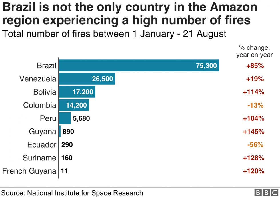   Bảng thống kê của INPE về các vụ cháy rừng Amazon tại các quốc gia tính từ đầu năm đến ngày 21/8.  