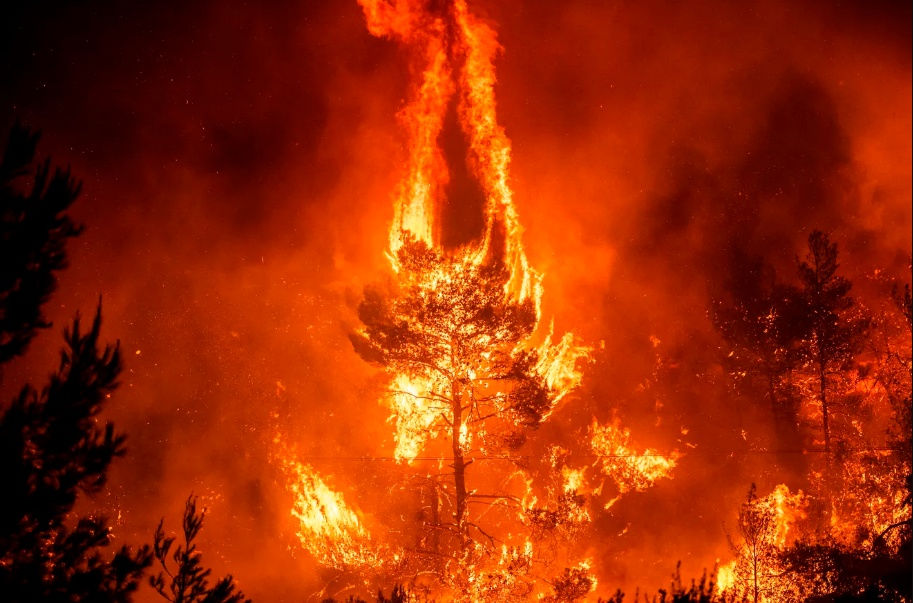   Ngọn lửa bốc lên từ đám cháy rừng gần ngôi làng Makrimalli trên đảo Evia, phía Đông Bắc Athens, Hy Lạp, ngày 13/8. Ảnh: Getty Images.  