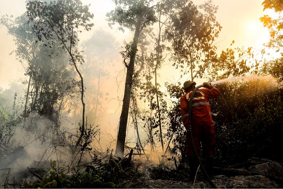   Cháy rừng đã khiến khói mù bao phủ một phần của Sumatra, đồng thời lan rộng sang Singapore và Malaysia. Ảnh: Getty Images.  