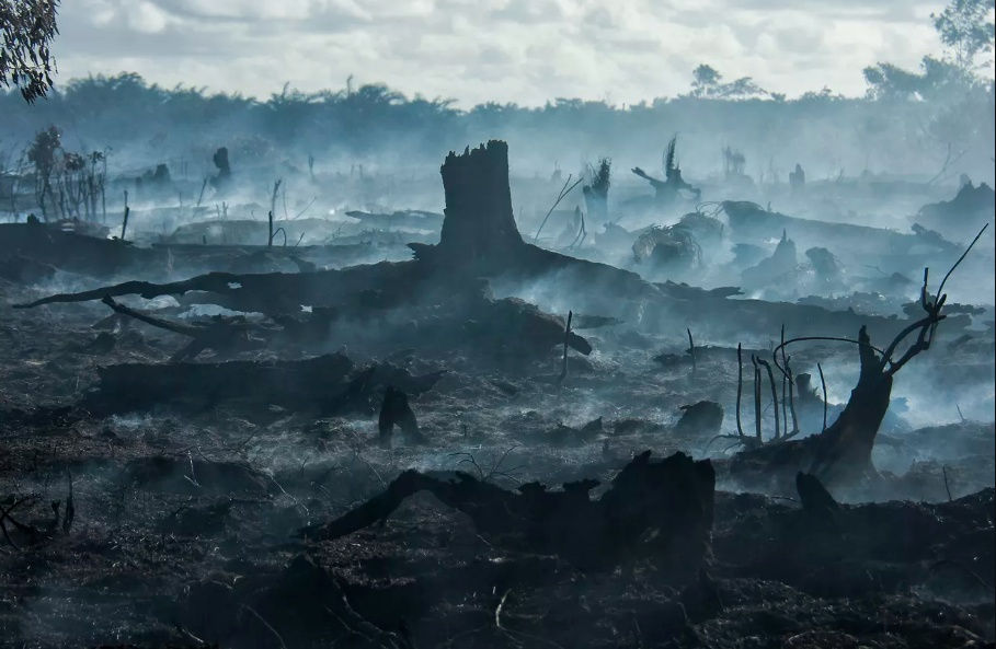   Quang cảnh sau vụ cháy ở Meulaboh, Acheh, Indonesia, ngày 8/8. Ảnh: Getty Images.  