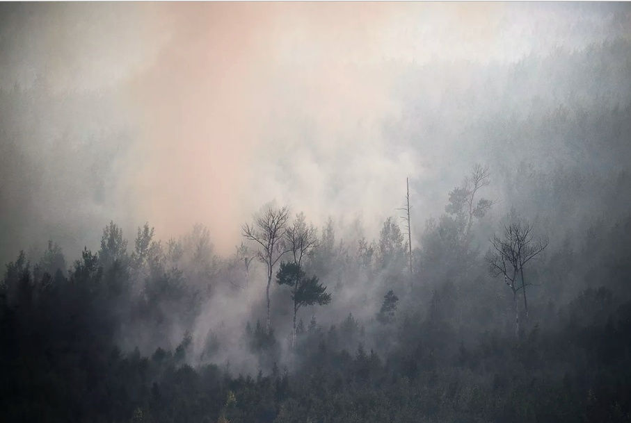   Vụ cháy rừng trên lãnh thổ Krasnoyarsk của Nga đã thiêu trụi hơn 1 triệu ha rừng, ngày 4/8. Ảnh: TASS.  