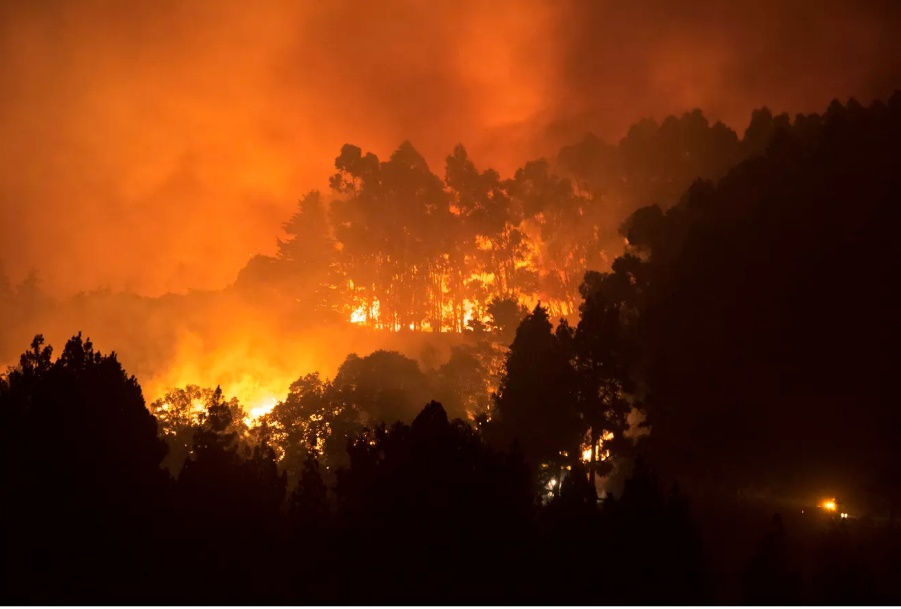   Một vụ hỏa hoạn bắt đầu vào ngày 10/8 tại thị trấn Artenara đã phá hủy tới 1.500 ha rừng trên đảo Grand Canary của Tây Ban Nha. Hình ảnh được ghi lại ngày 17/8. Ảnh: AFP.  