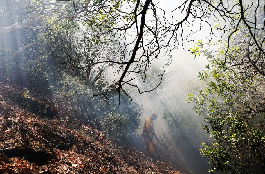   Vụ cháy đã thiêu rụi khoảng 500 ha đất đai ở Izmir trên bờ biển Aegean. Ảnh: Getty Images.  