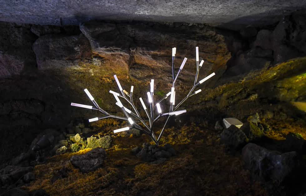   Tác phẩm Splyt Coral của Jason Krugman, mượn hình dạng từ những sinh vật dưới biển sâu có hình dáng giống cành cây. Những hình khối này được tạo nên từ các bộ khung chữ Y cắt tay bằng thép không gỉ và hàn lại với nhau. Chúng được đặt ở các ngóc ngách trong hệ thống hang động của triển lãm.  