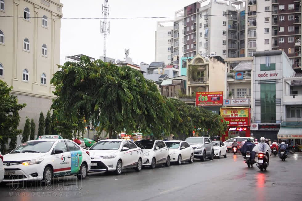 Nhiều xe taxi công nghệ ế ẩm, đậu cả buổi chiều trên đường Bạch Đằng, gần sân bay Tân Sơn Nhất