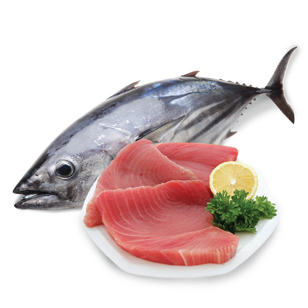Hy Lạp tăng nhập khẩu cá ngừ từ Việt Nam.