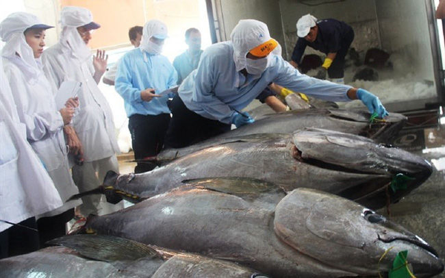   Hy Lạp chuộng cá ngừ đóng hộp Việt Nam.  