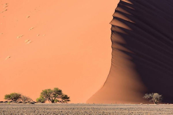 Đụn cát tại Hoang mạc Namib. Ảnh: Brightside