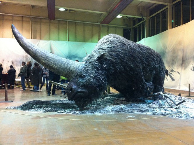   Elasmotherium, một con kỳ lân lớn tồn tại từ 29.000 năm trước. Ảnh: Brightside  