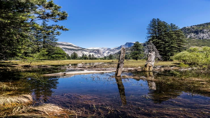 Vị trí thứ năm, quang cảnh mùa hè dọc theo sông Merced ở Thung lũng Yosemite, Công viên quốc gia Yosemite, California. Mỹ đã vượt qua Anh năm nay để giành vị trí thứ năm trong bảng xếp hạng của WEF. Vào tháng 6 , US News & World Report đã nêu tên ba địa điểm của Mỹ trong 10 điểm nghỉ mát tốt nhất thế giới: Công viên quốc gia Yosemite, Grand Canyon và Maui, Hawaii.