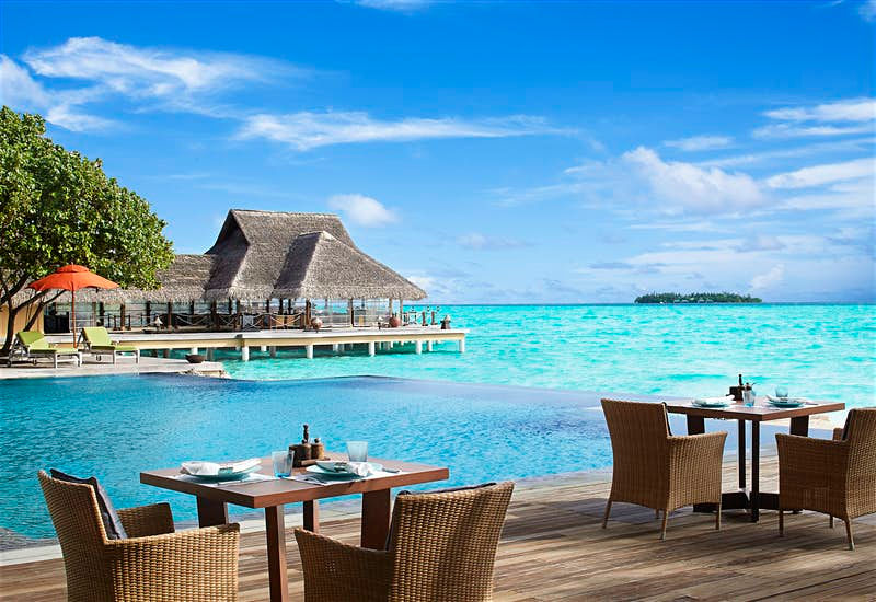   Khách tại Taj Exotica của Maldives có thể tham gia chương trình phục hồi rạn san hô của khách sạn. Ảnh: Taj Hotels.  