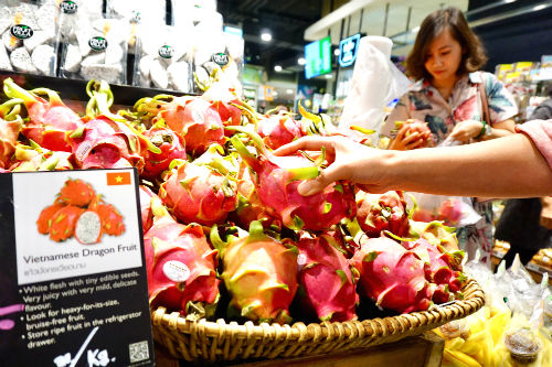           Thanh long Việt Nam bán trong siêu thị Tops Market của Central Plaza Grand Rama IX. Ảnh: Viễn Thông.          