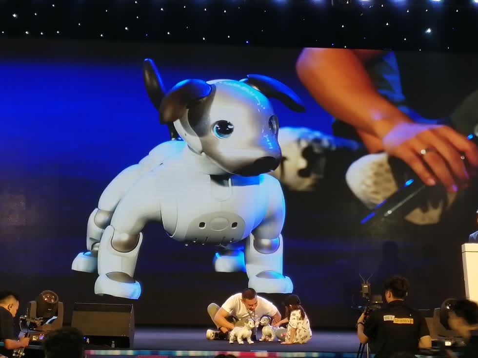 Chó Aibo xuất hiện tại triển lãm Sony Show 2019 gây ấn tượng người xem 