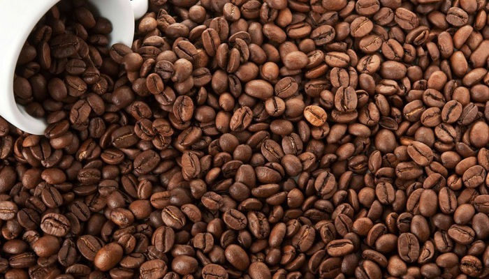 Giá cà phê “quay đẩu” giảm mạnh