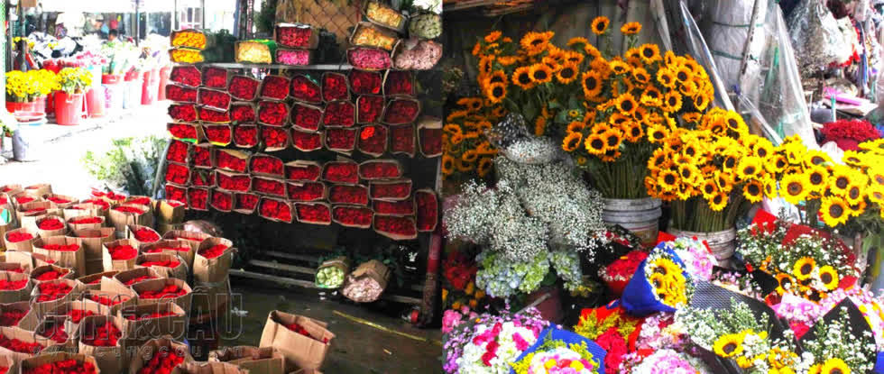 Tất cả các loại hoa sẽ có thể tìm được ở Hồ Thị Kỷ, giá hoa ở đây có giá rẻ hơn so với bất cứ khu kinh doanh hoa nào khác trên địa bàn TP.HCM.