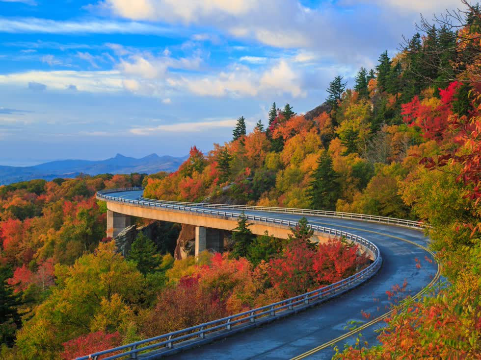   Quốc lộ Blue Ridge Parkway luôn hiện hữu một vẻ đẹp lung linh suốt bốn mùa, nhưng có lẽ khoảng thời gian cây cối thay sắc lá trong những tháng mùa thu là tuyệt vời hơn cả. Con đường dài 470 dặm nối từ Công viên Quốc gia Núi Great Smoky của Bắc Carolina đến Công viên Shenandoah và Skkyline Drive của Virginia này đi xuyên qua hàng chục rừng cây gỗ cứng, phố núi Appalachian, hồ nguyên sơ, cao nguyên đồng cỏ và những điểm đến nổi tiếng như Asheville. Ảnh: jaredkay.  