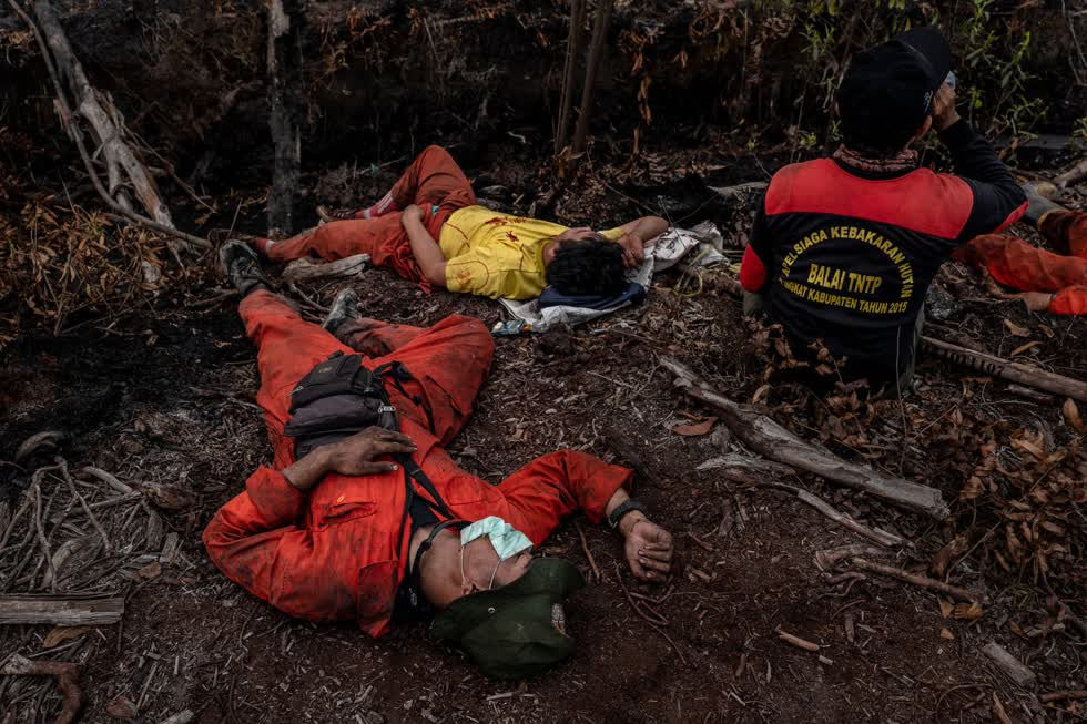   Lính cứu hỏa nghỉ ngơi sau những ngày dài chiến đấu với đám cháy ngoài tầm kiểm soát ở công viên quốc gia Sebangau.   