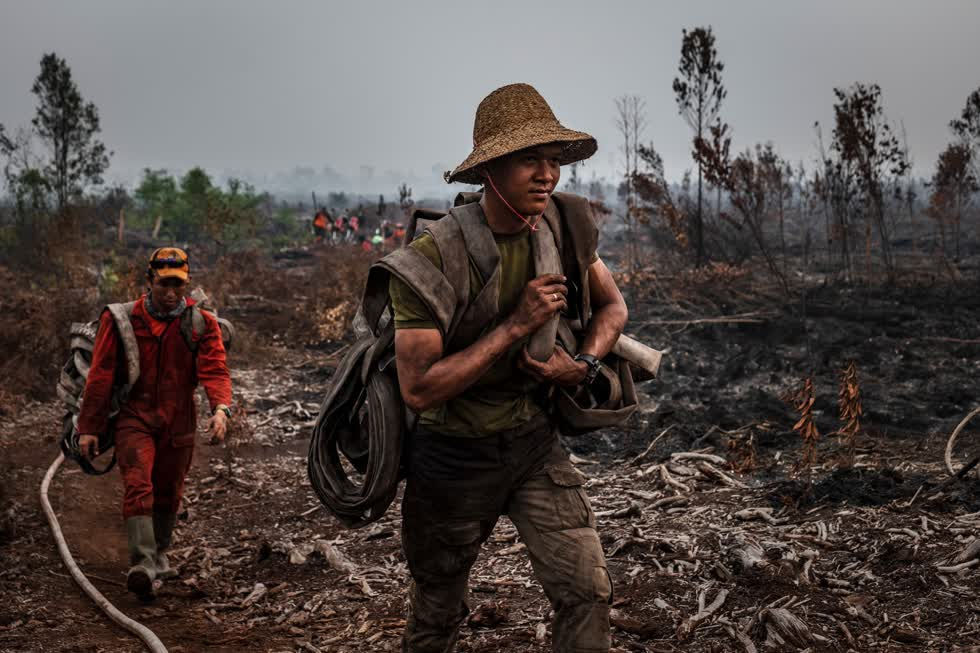   Một số đám cháy đã thiêu rụi các khu bảo tồn và công viên quốc gia. Singapore và Malaysia đã phàn nàn trong nhiều thập kỷ qua về các vụ khói bốc lên từ Sumatra và Kalimantan, làm nghẹt thở khu vực giáp ranh mỗi năm vào thời điểm này.  