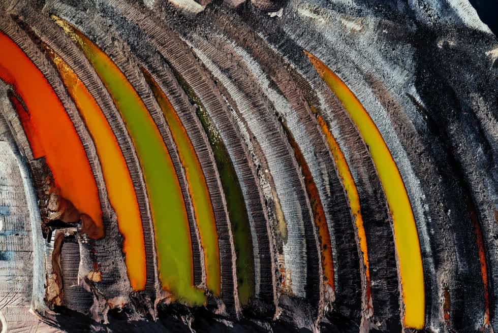   Giải thưởng về khí hậu và năng lượng: Rừng Hambach đã gần 12.000 năm tuổi khi được một công ty điện lực mua để đào lấy than nâu chôn bên dưới. Bây giờ chỉ còn 10%. Ảnh: J Henry Fair.                Lá phổi của Trái đất ở Ian Wade, Somerset, Vương quốc Anh. Ảnh: Ian Wade.          
