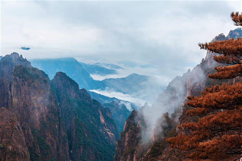   Núi Hoàng Sơn, hay Núi Vàng, được cho là nơi hùng vĩ và nên thơ nhất ở Trung Quốc để ngắm mùa thu đẹp như tranh vẽ. Các đỉnh núi cao nhất của dãy được bao phủ bằng những cây chuyển sang màu đỏ tươi đẹp mắt trong suốt tháng 10, xen lẫn không khí lành lạnh đổ về từ Běijīng và Shànghai. Những đám mây bồng bềnh, phiêu lãng như mang lại một bầu không khí đặc biệt thanh tao của Trung Quốc. Đi đến đây vào lúc mặt trời mọc, lặng lẽ ngắm nhìn từng tia nắng đầu tiên len lõi qua kẽ cây tán lá rực rõ sắc vàng, đỏ của màu thu sang.  