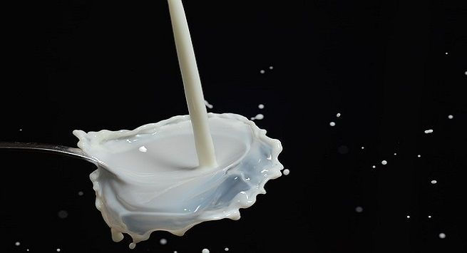 Sữa có thể thoa trực tiếp lên mặt để dưỡng da, trị mụn không?  