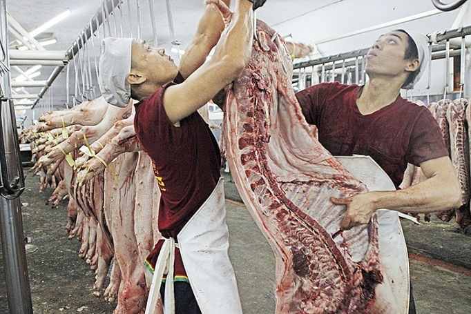 Giá thịt heo bắt đầu tăng theo giá heo hơi.