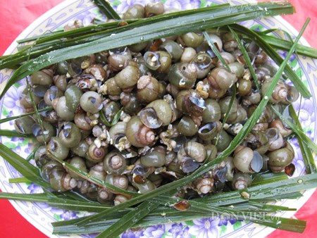 Cách làm ốc gạo xào sả ớt ngon cho ngày cuối tuần
